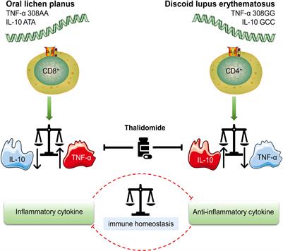 Differential genotypes of TNF-α and IL-10 for immunological diagnosis in discoid lupus erythematosus and oral lichen planus: A narrative review